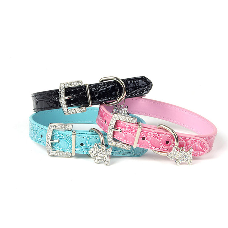 Dog Collars
