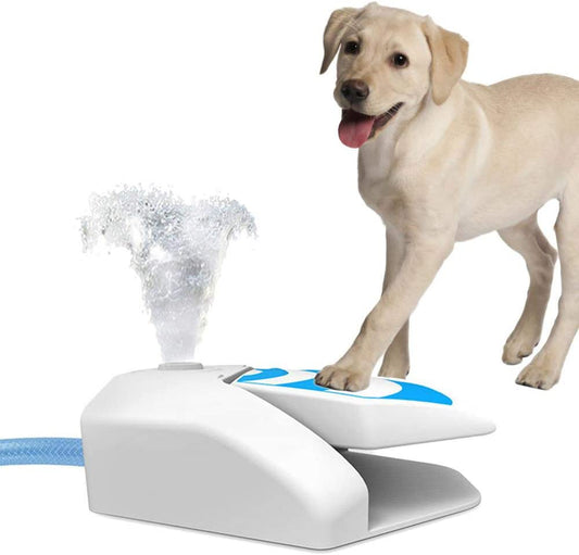 Dog Water Fountain