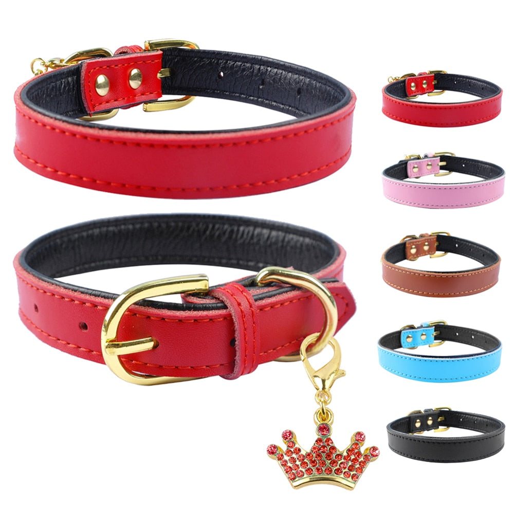 Dog Collars