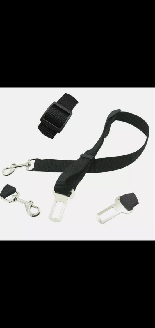 Dog Seat Belt