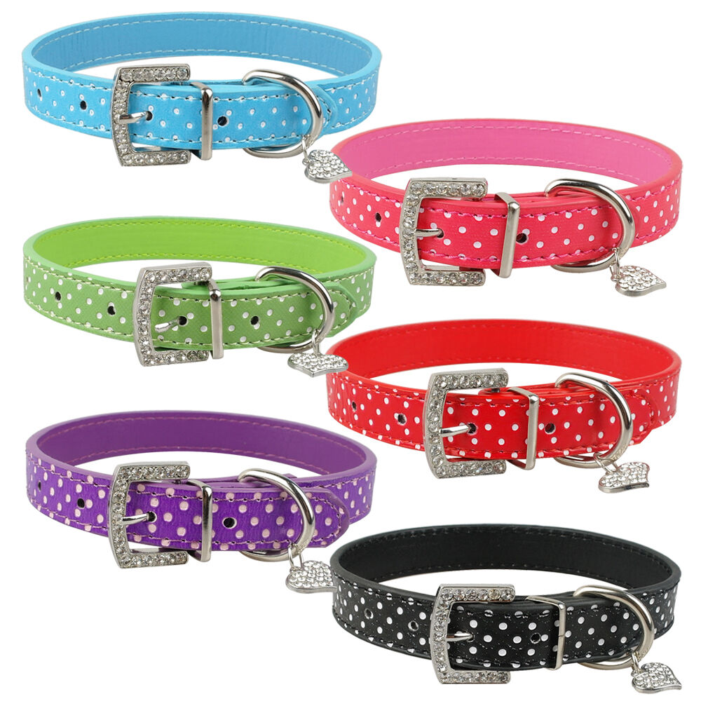 Poke A Dot Dog Collars