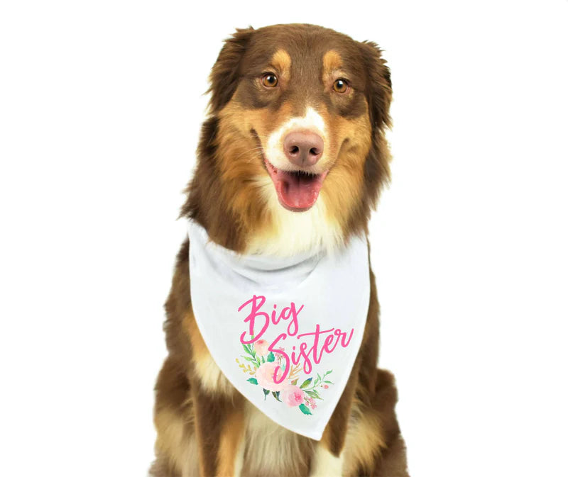 Big Sister Dog Bandanna