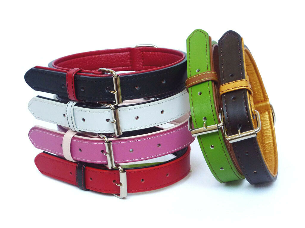 The Paws Dog Collars