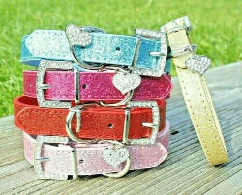 Glittery Dog Collar