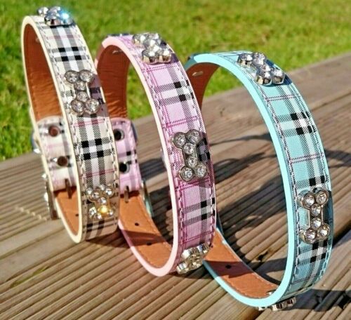 Dog Collars